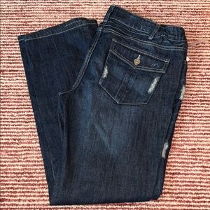 Liz Lange Dark Blue Women's Jeans